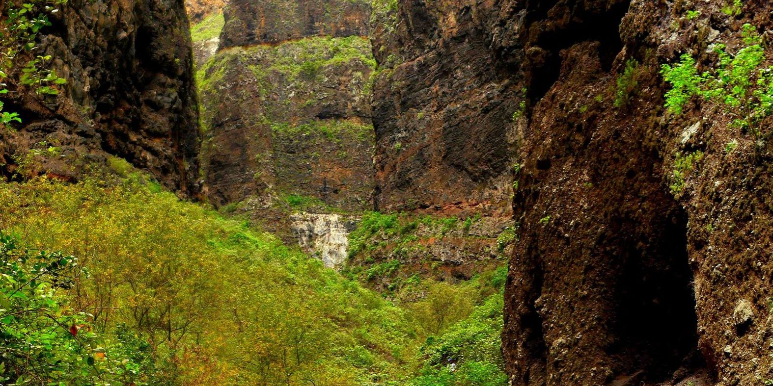 Barranco del Infierno — Ronny Siegel Paredes rocosas y vegetación en el interior del Barranco del Infierno