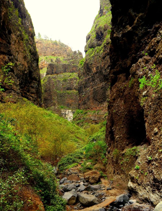 Paredes rocosas y vegetación en el interior del Barranco del Infierno