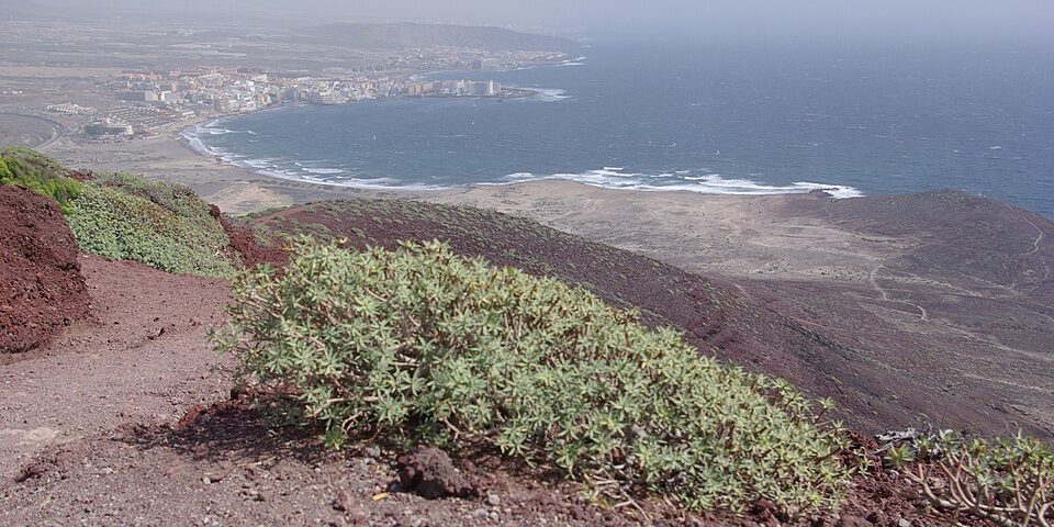 el-medano El Médano visto desde Montaña Roja / El Médano seen from Montaña Roja