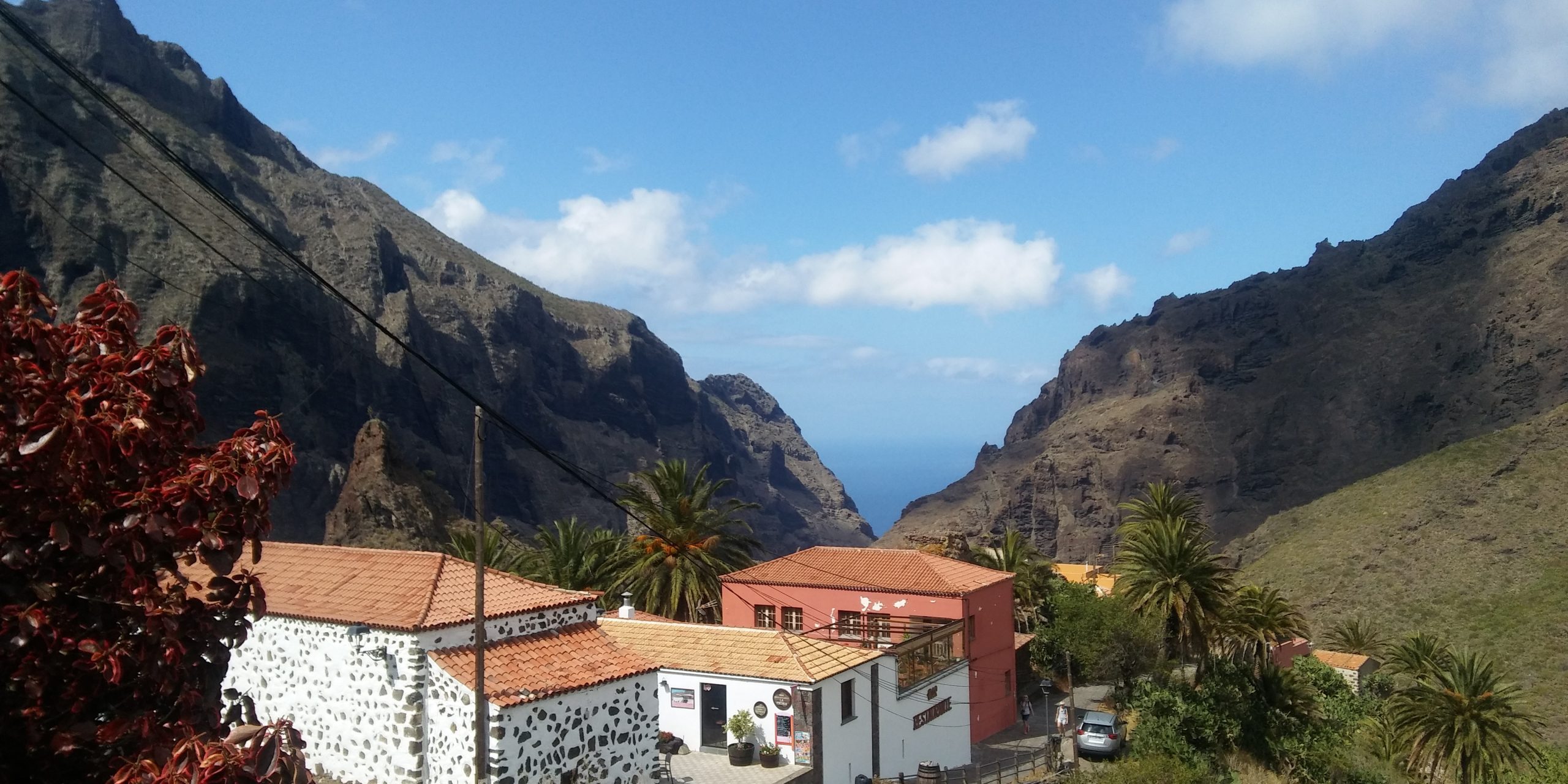 Caserío de Masca con palmeras, barranco y mar al fondo